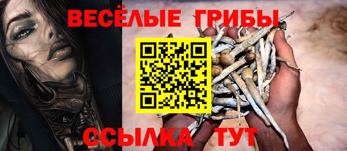 Псилоцибиновые грибы GOLDEN TEACHER  Вход с VPN  Ессентуки  Псилоцибиновые грибы MAGIC MUSHROOMS 